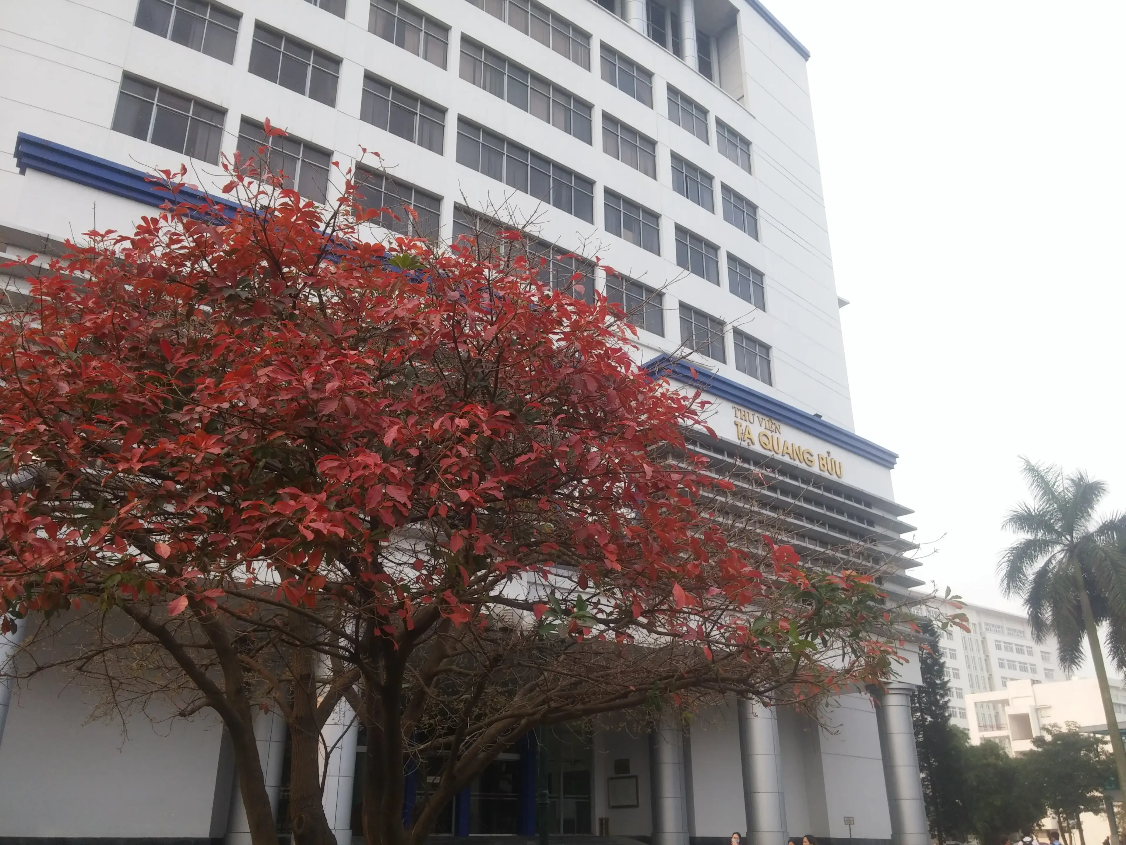 Thư viện Tạ Quang Bửu