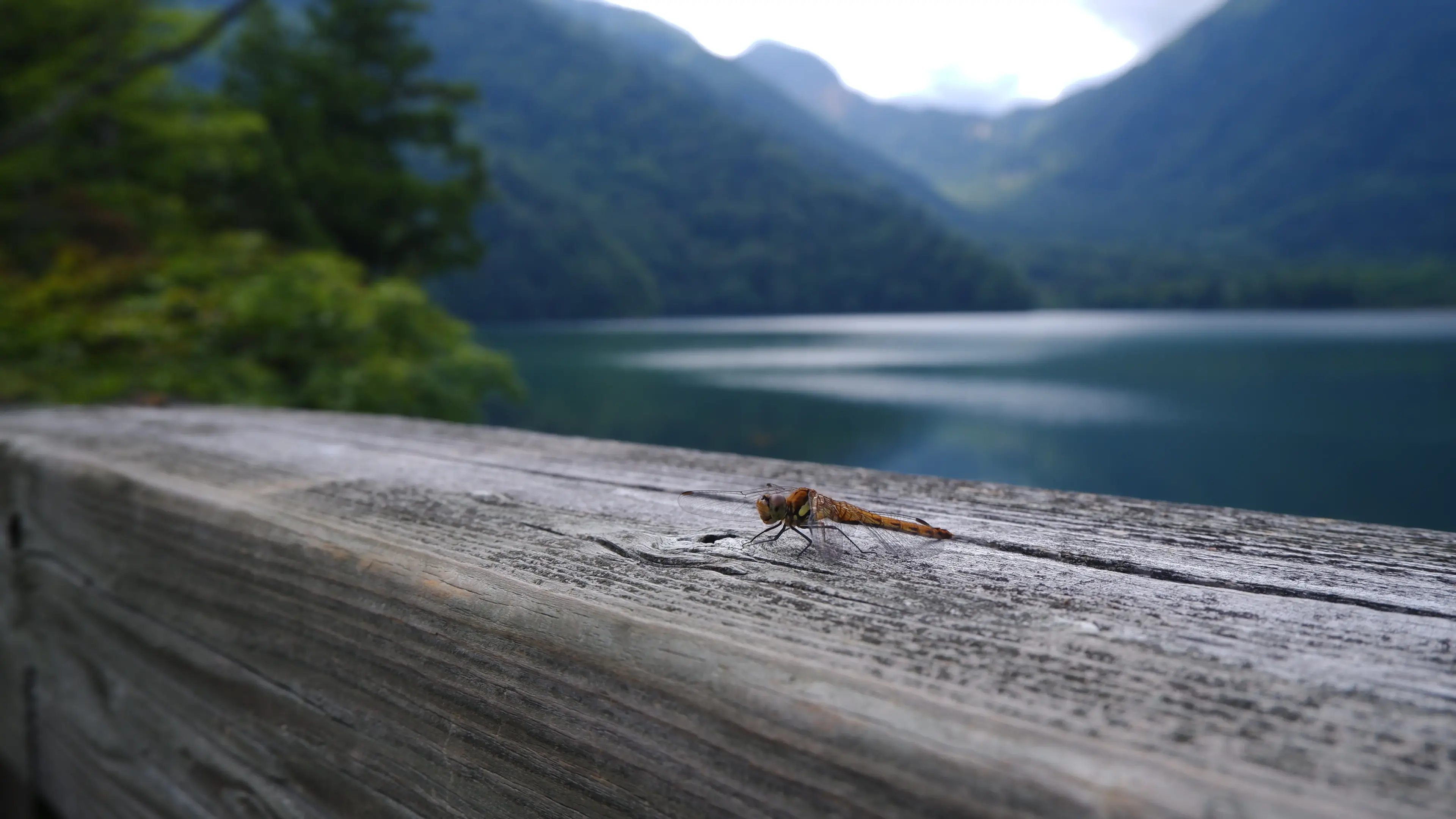 Khung cảnh ở Nikko