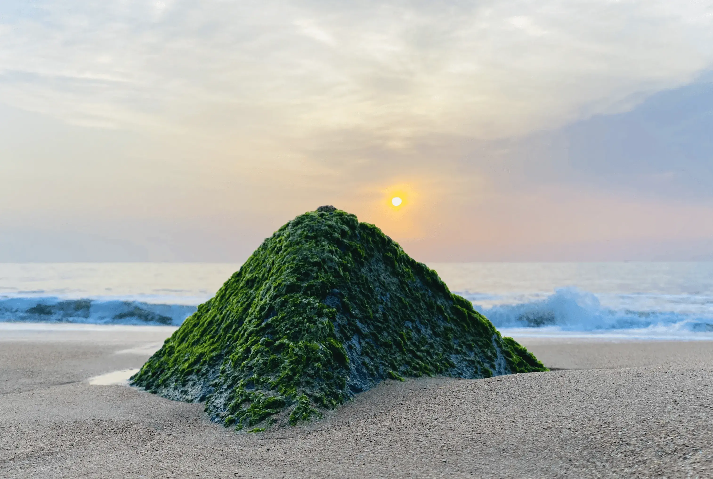 Bình minh trên biển Ōmika