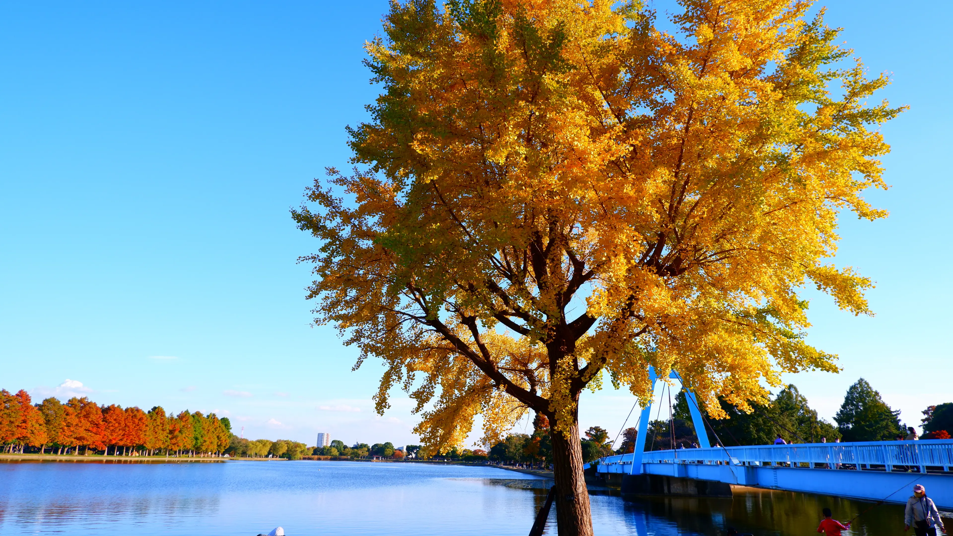 Công viên Mizumoto