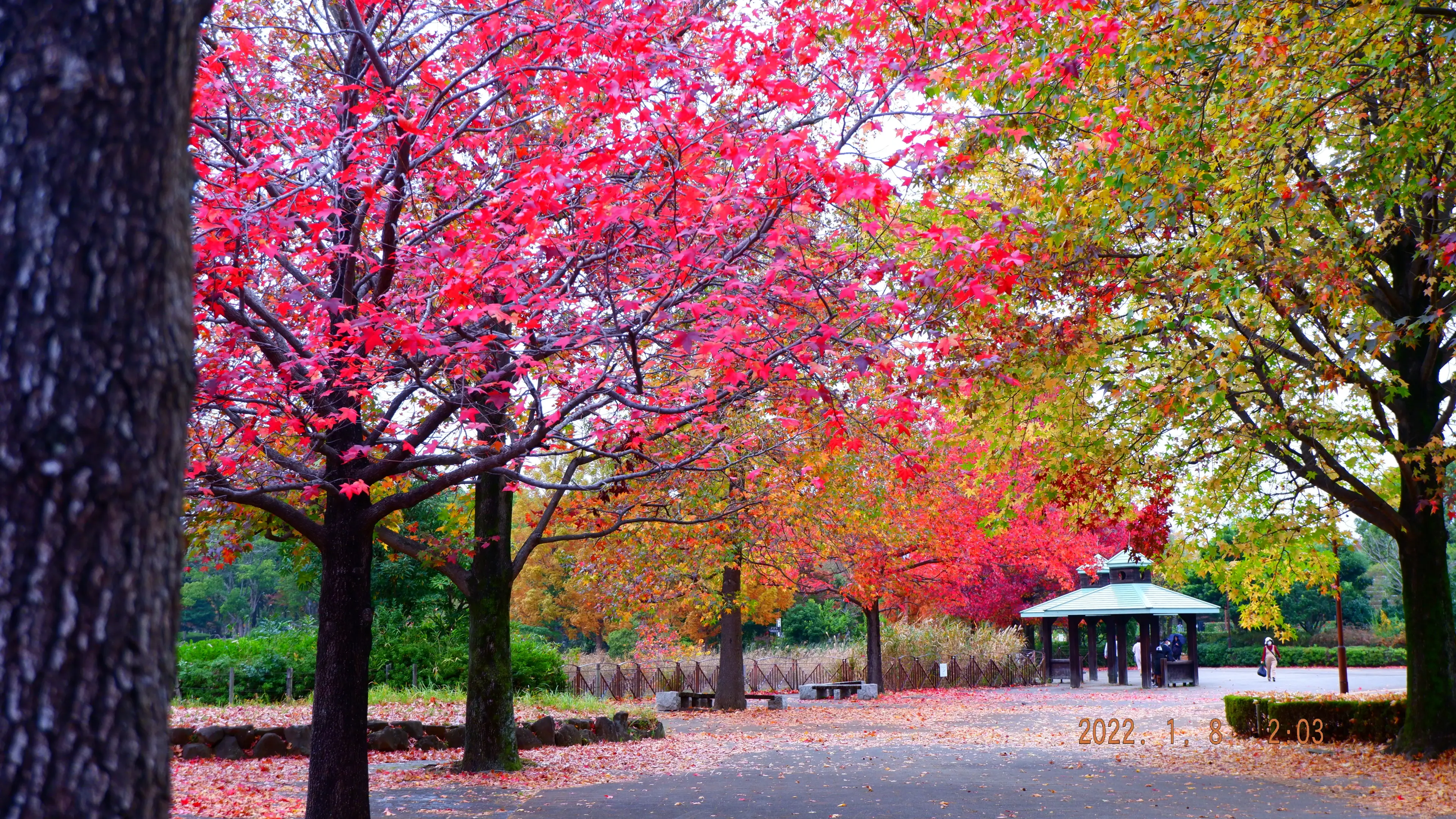 Công viên thể dục Nagareyama