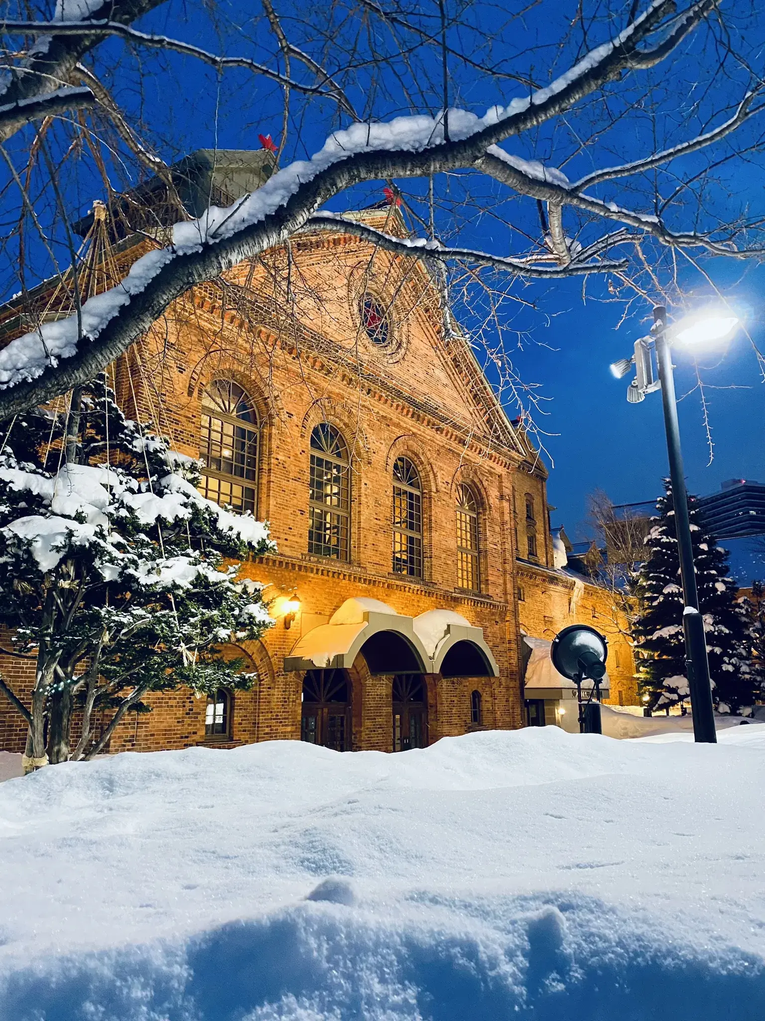 Sapporo về chiều