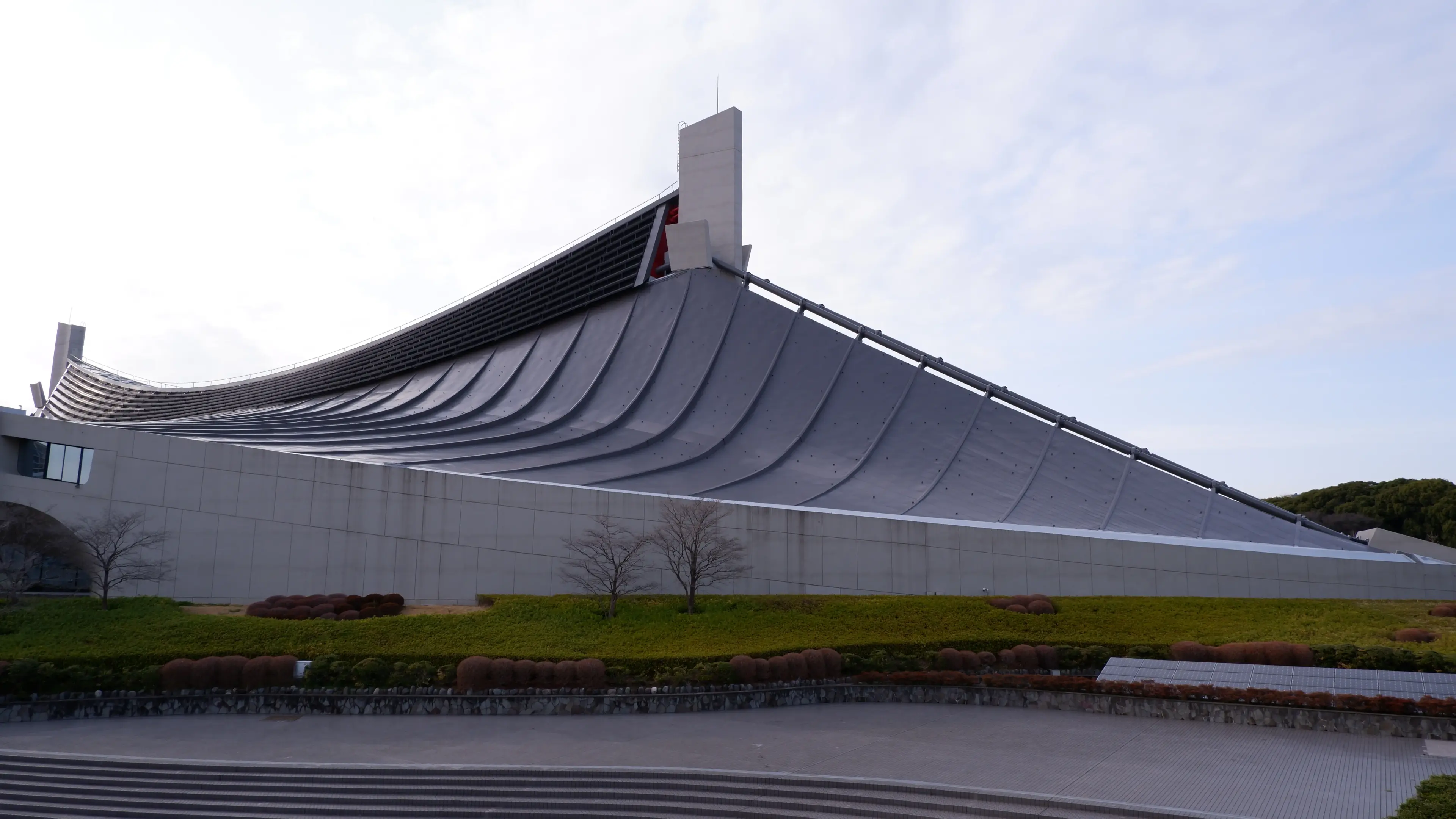 Hoa anh đào ở công viên Yoyogi