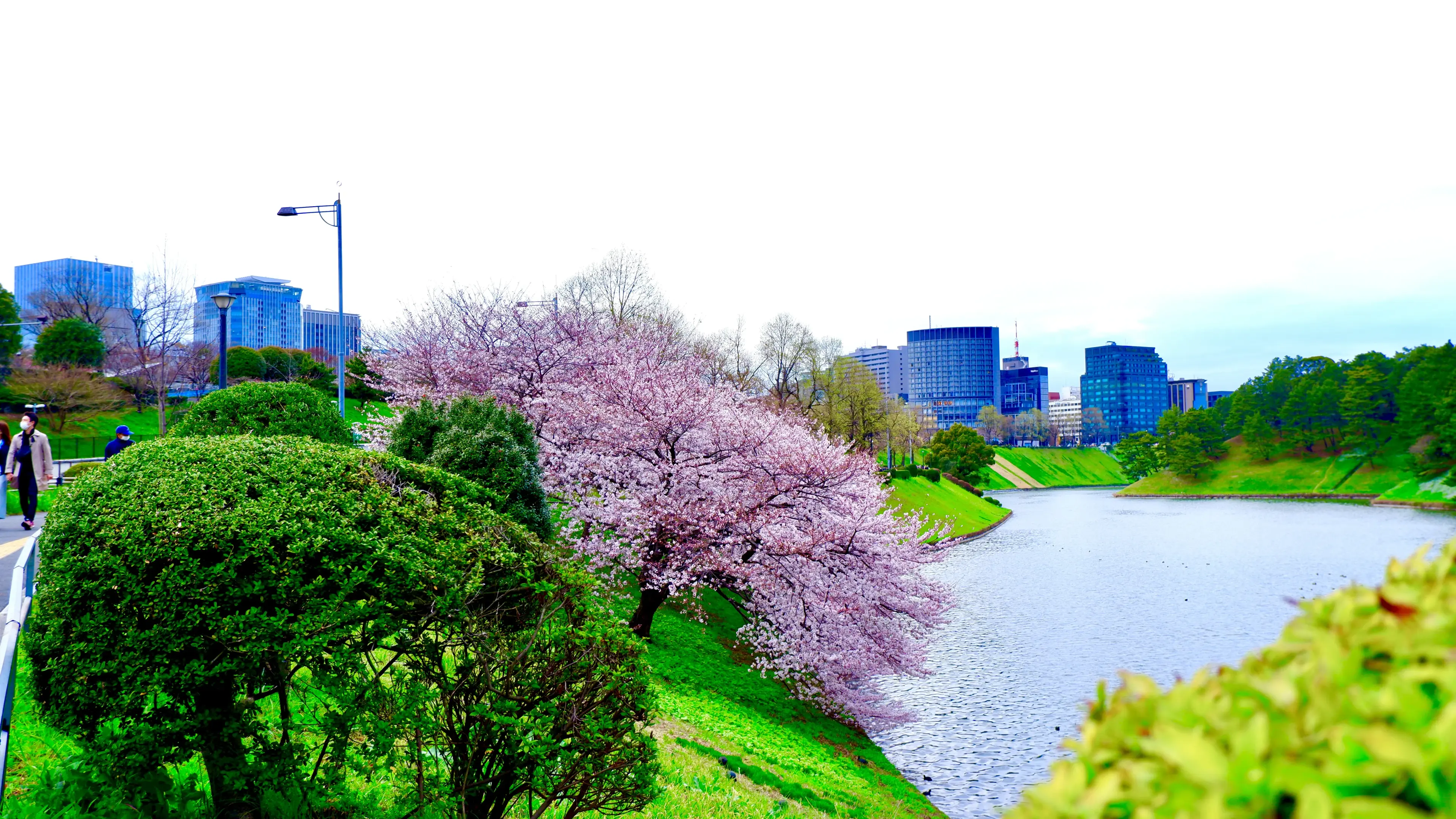 Cung điện Hoàng gia