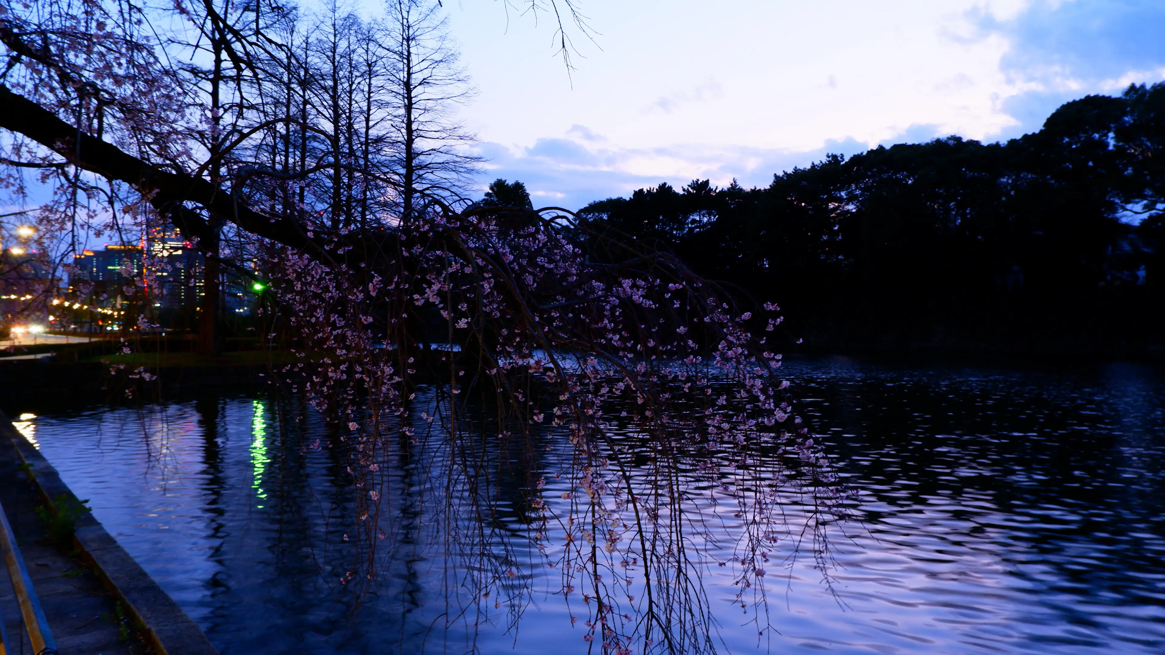 Khuôn viên Cung điện Hoàng gia