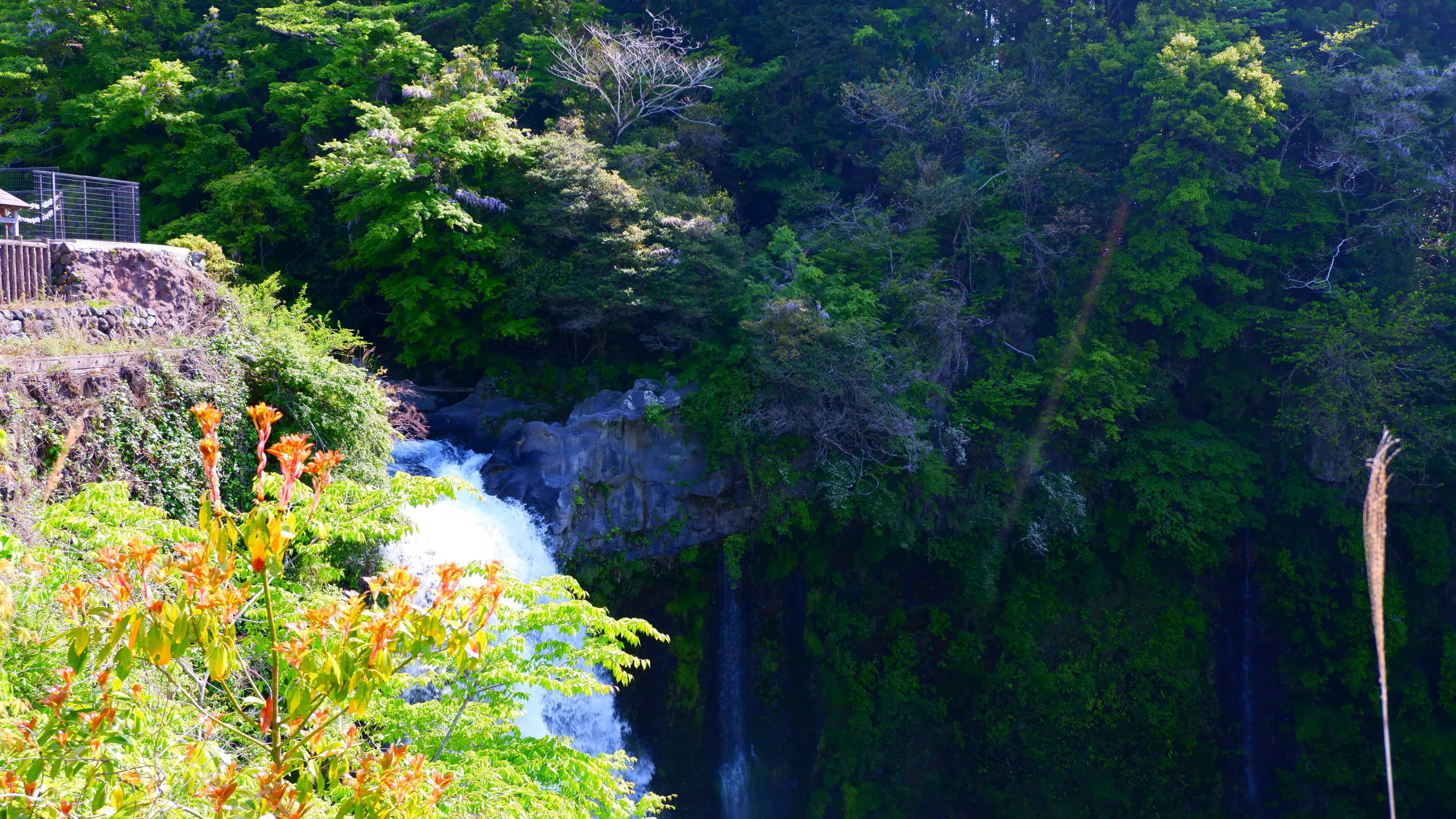 Cảnh quan gần thác Shiraito