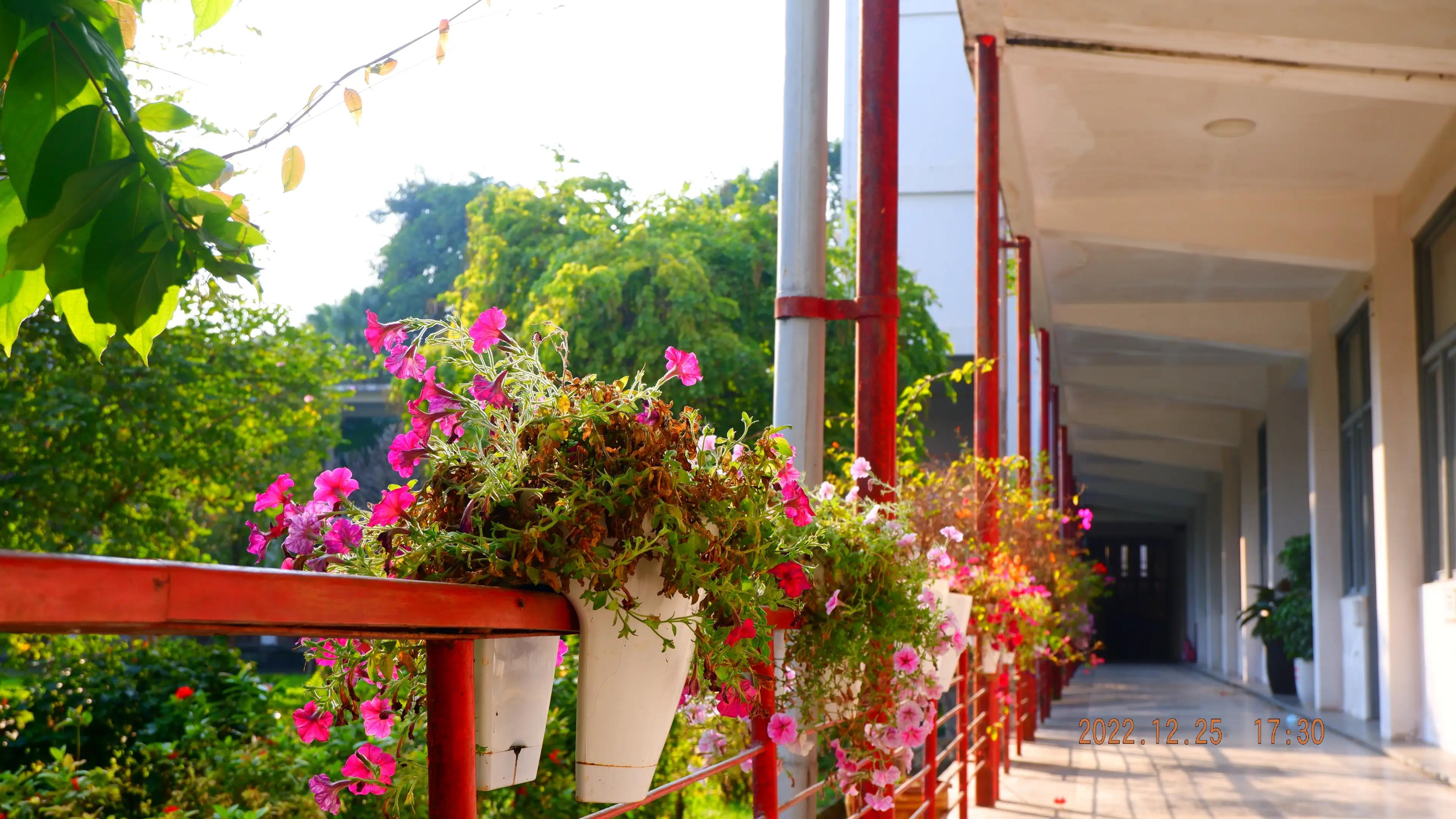 Hồ Gươm chiều hoàng hôn